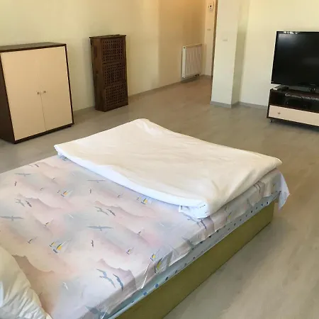 Lh * Cluj-Napoca